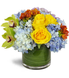 Clear Skies Bouquet™. An arrangement by Avenue Flowers and Gifts. Clear Skies Bouquet™. An arrangement by Avenue Flowers and Gifts.