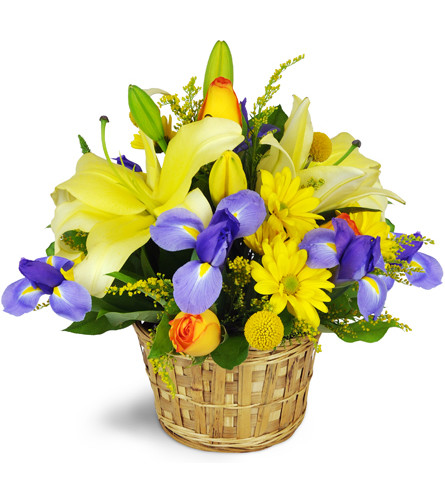 Lush and Lively™. An arrangement by Avenue Flowers and Gifts. Yellow lilies and daisies, blue irises, and orange-tinted yellow roses are...