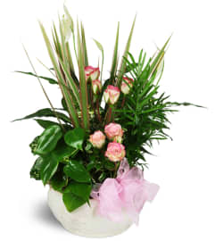 Sweet Memories Sympathy Planter™. An arrangement by Avenue Flowers and Gifts.