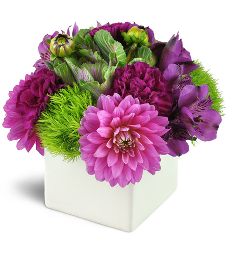 Hello, Dahlias!™. An arrangement by Avenue Flowers and Gifts. Dahlias, carnations, and alstroemeria blooms are arranged with kale and green...