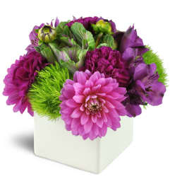 Hello, Dahlias!™. An arrangement by Avenue Flowers and Gifts.