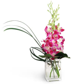 A Touch Of Pink™. An arrangement by Avenue Flowers and Gifts. A Touch Of Pink™. An arrangement by Avenue Flowers and Gifts.