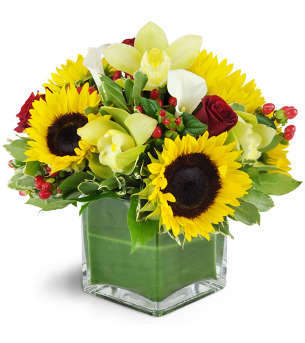 Luxury in Bloom™. An arrangement by Avenue Flowers and Gifts. Green Cymbidium orchids, red roses, sunflowers, calla lilies and more are...