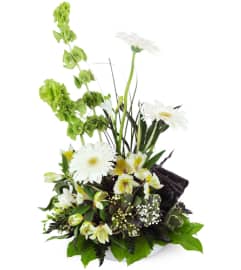 Gerbera Daisy Remembrance™. An arrangement by Avenue Flowers and Gifts.
