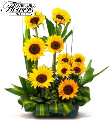 you are my sunshine. An arrangement by Avenue Flowers and Gifts.