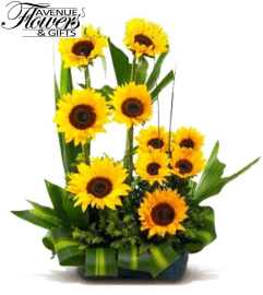 you are my sunshine. An arrangement by Avenue Flowers and Gifts.