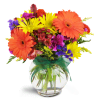 Sunglow Blooms™ - Standard. An arrangement by Avenue Flowers and Gifts. Gerbera daisies, miniature carnations, and spray roses are arranged in...