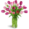 Perfect Pink Tulips™ - Premium. An arrangement by Avenue Flowers and Gifts. Featuring a stunning assortment of tulips in all shades of pink...