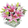 Pink Delight™ - Deluxe. An arrangement by Avenue Flowers and Gifts. Featuring stunning pink Stargazer lilies arranged with pink waxflower..
