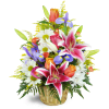 Stargazer Blessings Basket™ - Premium. An arrangement by Avenue Flowers and Gifts. Stargazer lilies, irises, and more are expertly arranged in a...