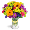 Radiant Rainbow™ - Standard. An arrangement by Avenue Flowers and Gifts. Daisies, alstroemeria, carnations, and more are arranged in every shade...