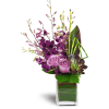 Orchid Jewels™ - Deluxe. An arrangement by Avenue Flowers and Gifts. A dazzling array of Dendrobium orchids, a succulent plant, and lavish greens...