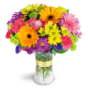 Radiant Rainbow™ - Deluxe. An arrangement by Avenue Flowers and Gifts. Daisies, alstroemeria, carnations, and more are arranged in every shade of...
