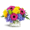 Blooming Medley™ - Standard. An arrangement by Avenue Flowers and Gifts. Purple hydrangea, Gerbera daisies, and roses come together to create a...