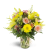 Sweet and Sunny™ - Standard. An arrangement by Avenue Flowers and Gifts. Soft pink spray roses and bright yellow mini Gerbera daisies are...