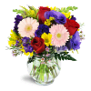 A Touch of Bliss™ - Premium. An arrangement by Avenue Flowers and Gifts. Bursting with fresh daisies, Gerbera daisies, alstroemeria, and more,...