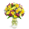 Enchanted Fields™ - Premium. An arrangement by Avenue Flowers and Gifts. A magical mix of purple and yellow alstroemeria, daisies, and aster...