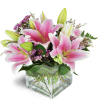 Pink Delight™ - Standard. An arrangement by Avenue Flowers and Gifts. Featuring stunning pink Stargazer lilies arranged with pink waxflower..