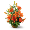 Asiatic Lily Basket - Standard. An arrangement by Avenue Flowers and Gifts. Vibrant orange lilies and oregonia are arranged in a reusable wicker...