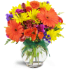 Sunglow Blooms™ - Deluxe. An arrangement by Avenue Flowers and Gifts. Gerbera daisies, miniature carnations, and spray roses are arranged in this...