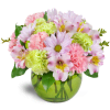 The Spring Forward Bouquet™ - Deluxe. An arrangement by Avenue Flowers and Gifts. Pastel pink and green carnations, daisies, alstroemeria, and...
