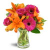 Vibrant Shine™ - Deluxe. An arrangement by Avenue Flowers and Gifts. Gift them asiatic lilies, roses, Gerbera daisies, and tulips arranged with...