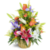 Stargazer Blessings Basket™ - Standard. An arrangement by Avenue Flowers and Gifts. Stargazer lilies, irises, and more are expertly arranged in a...
