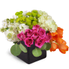 Vibrant Delight™ - Standard. An arrangement by Avenue Flowers and Gifts. Roses, tulips, hydrangea, and more are arranged in a ceramic vase....