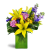 Springtime Kiss™ - Standard. An arrangement by Avenue Flowers and Gifts. Treat them to lavender roses, sunny yellow lilies, purple stock, and more...