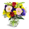 A Touch of Bliss™ - Deluxe. An arrangement by Avenue Flowers and Gifts. Bursting with fresh daisies, Gerbera daisies, alstroemeria, and more,...