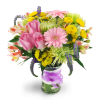 Spring Surprise - Standard. An arrangement by Avenue Flowers and Gifts. Happiness is in full bloom with this vibrant assortment of roses, mini...