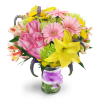 Spring Surprise - Premium. An arrangement by Avenue Flowers and Gifts. Happiness is in full bloom with this vibrant assortment of roses, mini...