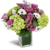 Sparking Joy™ - Premium. An arrangement by Avenue Flowers and Gifts. Green hydrangea, lavender roses, mini gerbera daisies, and more are sweetly...