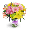 Spring Surprise - Deluxe. An arrangement by Avenue Flowers and Gifts. Happiness is in full bloom with this vibrant assortment of roses, mini...