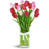 So Sweet™ - Deluxe. An arrangement by Avenue Flowers and Gifts. Red, pink, and white tulips are cheerfully arranged in a glass vase..