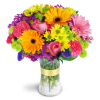 Radiant Rainbow™ - Premium. An arrangement by Avenue Flowers and Gifts. Daisies, alstroemeria, carnations, and more are arranged in every shade of...