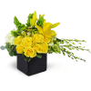Sensational Smiles™ - Premium. An arrangement by Avenue Flowers and Gifts. Yellow roses, Dendrobium orchids, and more are arranged in a ceramic...