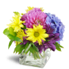 Pretty Purple Cheer™ - Standard. An arrangement by Avenue Flowers and Gifts. Pink dahlias, purple alstroemeria, blue hydrangea, yellow daisies,...