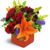 Fruit of the Bloom™ - Deluxe. An arrangement by Avenue Flowers and Gifts. A colorful mix of mini Gerbera daisies, Asiatic lilies, and...