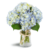 Cloud Nine™ - Standard. An arrangement by Avenue Flowers and Gifts. Six stems of blue hydrangea are arranged in a gracious glass vase..