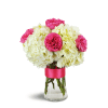 Summertime Chic™ - Standard. An arrangement by Avenue Flowers and Gifts. A gorgeous assortment of six fuchsia garden roses are arranged with white...
