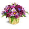 Amethyst Skies Basket™ - Standard. An arrangement by Avenue Flowers and Gifts. Daisies, carnations, asters, miniature carnations, and more—are...