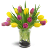 Springtime Duet™ - Standard. An arrangement by Avenue Flowers and Gifts. Twenty yellow and violet tulips are delightfully arranged in a glass vase..
