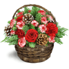 Pretty Peppermint™ - Deluxe. An arrangement by Avenue Flowers and Gifts. A bounty of assorted pines is arranged with white-tipped pinecones and...