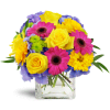 Blooming Medley™ - Premium. An arrangement by Avenue Flowers and Gifts. Purple hydrangea, Gerbera daisies, and roses come together to create a...