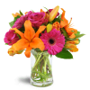 Vibrant Shine™ - Standard. An arrangement by Avenue Flowers and Gifts. Gift them asiatic lilies, roses, Gerbera daisies, and tulips arranged with...