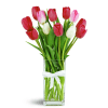 So Sweet™ - Standard. An arrangement by Avenue Flowers and Gifts. Red, pink, and white tulips are cheerfully arranged in a glass vase..