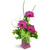 Happy Dance - Standard. An arrangement by Avenue Flowers and Gifts. Give them a gorgeous bouquet of Gerbera daisies, hypericum berries, snake...